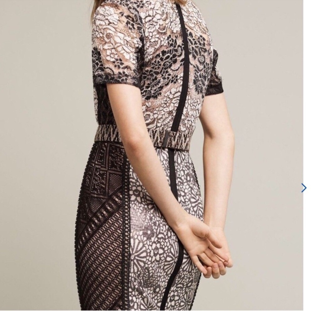 Beguile by Byron Lars Melange Lace Pencil Dress - Picture 15 of 15
